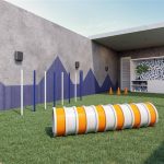 prospera-atmos-sky-pet-lazer