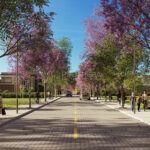 20_Flores de sal_Quadras