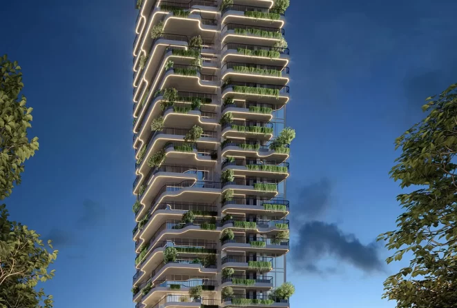 1637089509449_0ed54dd1-4a65-4c49-aaad-f7644e891cdf